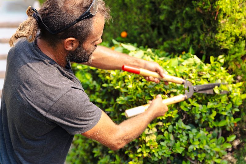 Shrub Pruning in a Garden
