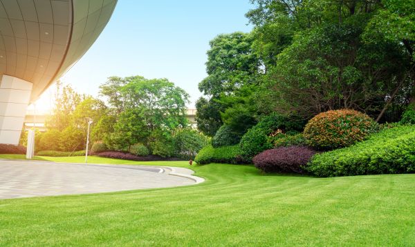 Commercial Shrub Trimming in Hixson