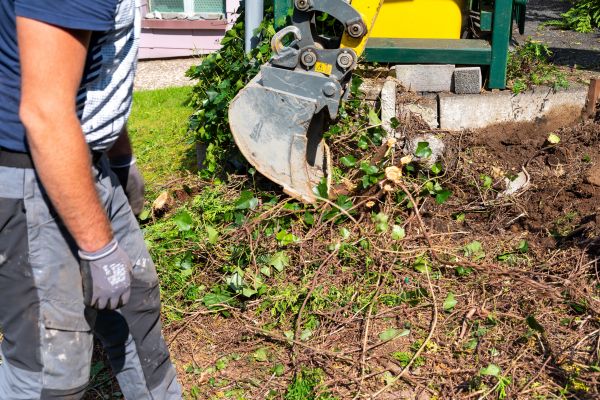 Hedge Removal Service in Hixson