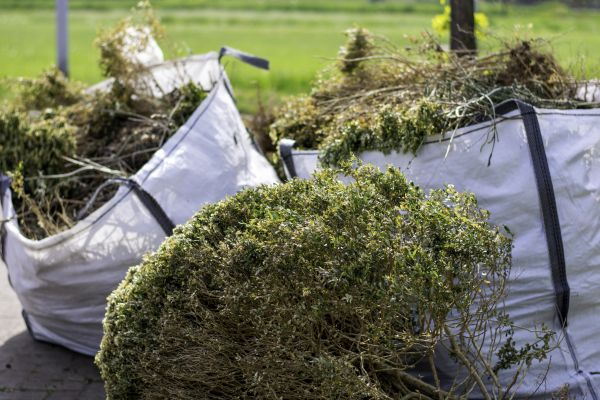 Cost of Shrubs Removal in Hixson