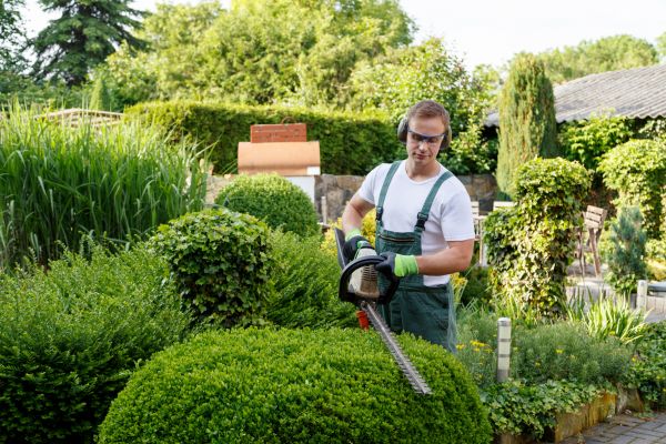 Shrubs Trimming in Hixson