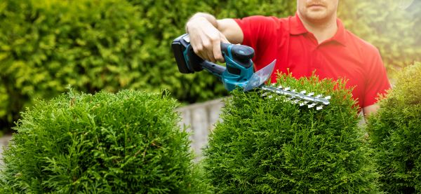 Hedge Shaping Service in Hixson